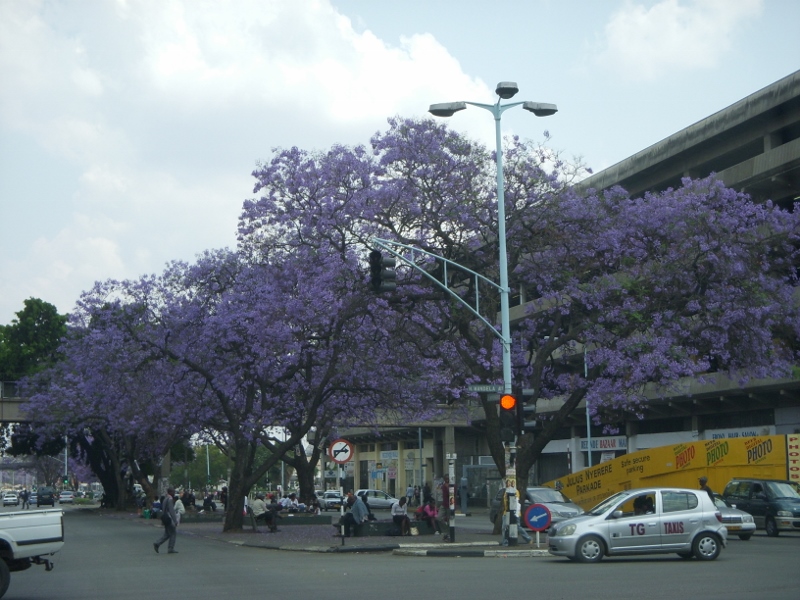 Straßenszene in Harare